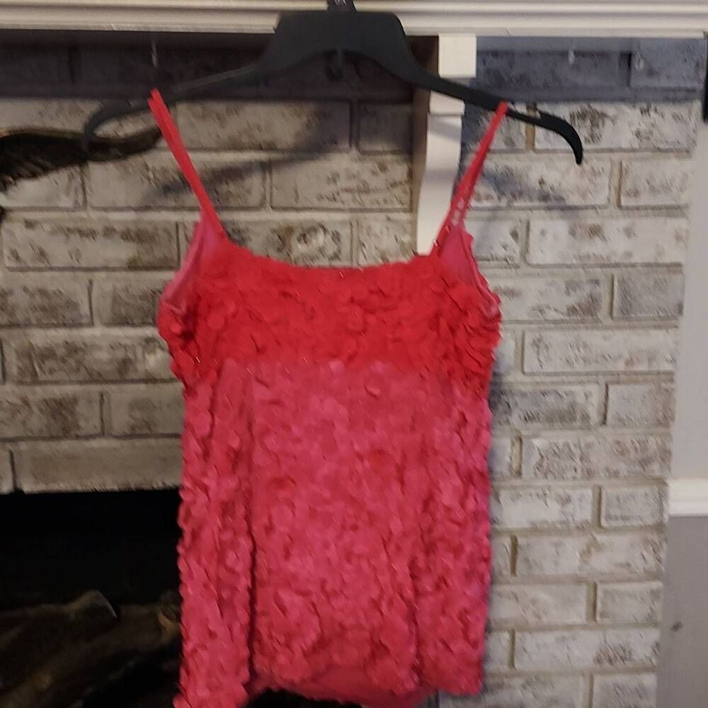 Yoana Baraschi Sequined Top